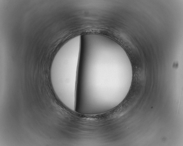 X0000091180649200708091047