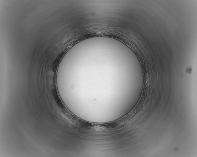 X0000091180650200708091047