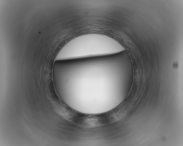 X0000091180653200708091047