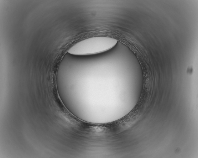 X0000091180654200708091047