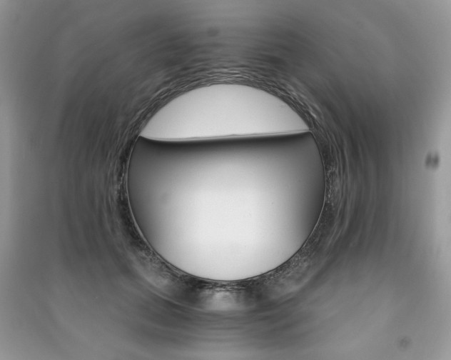 X0000091180655200708091047