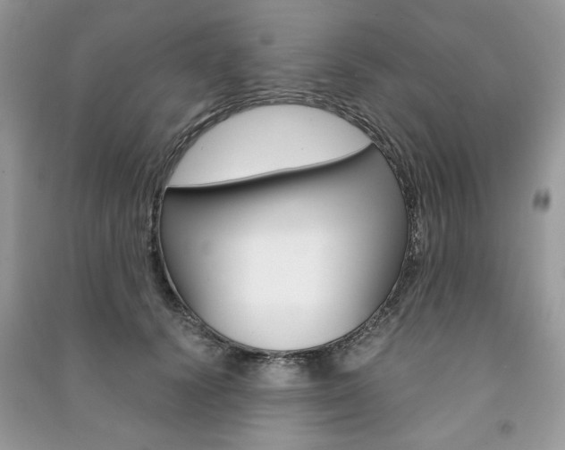 X0000091180656200708091047