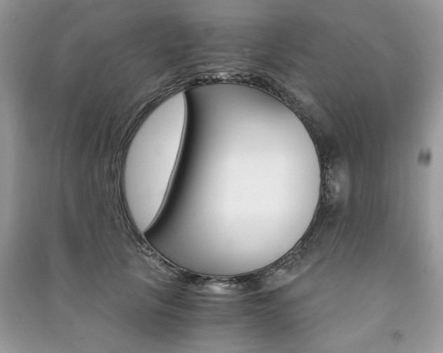 X0000091180657200708091047