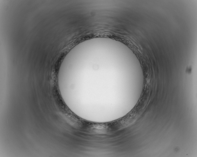 X0000091180659200708091047