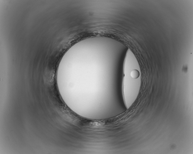 X0000091180660200708091047