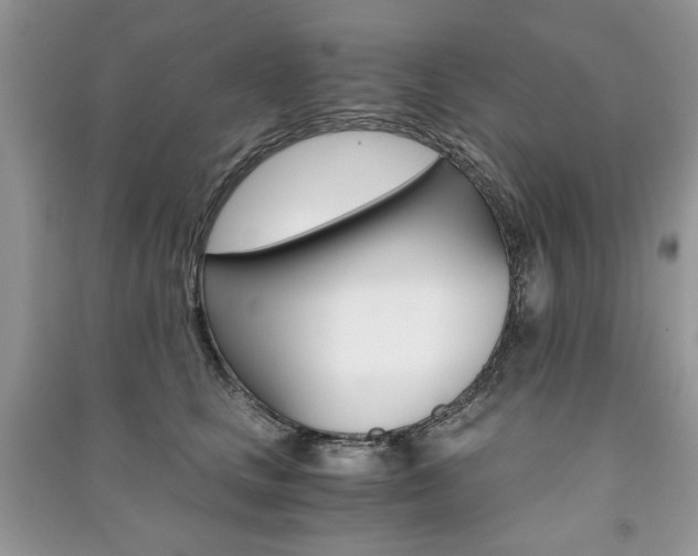 X0000091180661200708091047