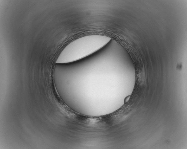 X0000091180662200708091047