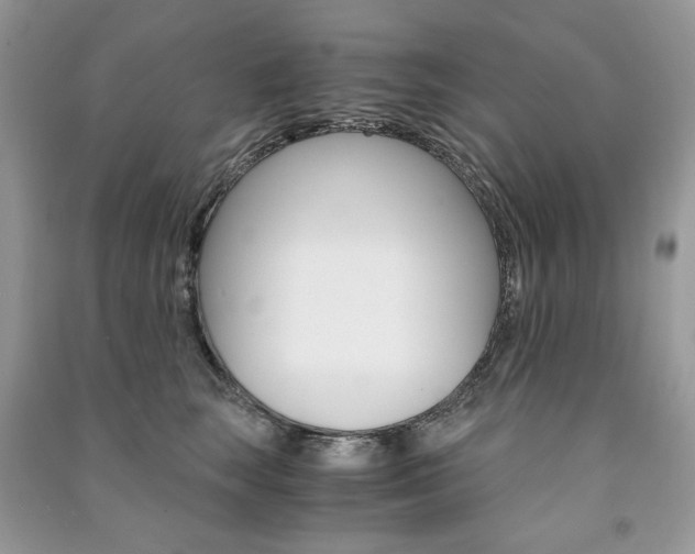 X0000091180663200708091047