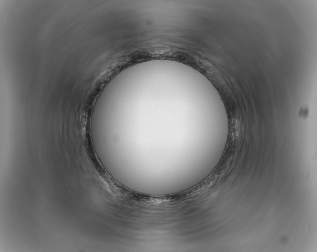 X0000091180664200708091047