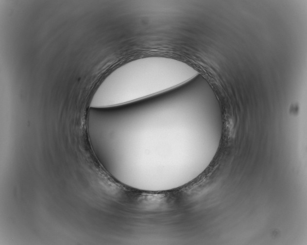 X0000091180665200708091047