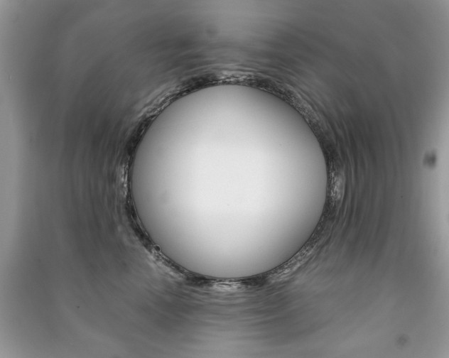 X0000091180666200708091047