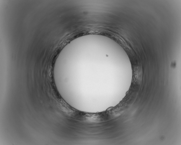 X0000091180667200708091047