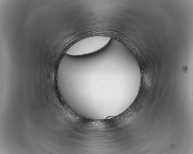 X0000091180668200708091047