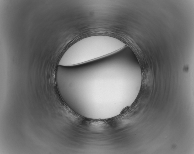 X0000091180669200708091047
