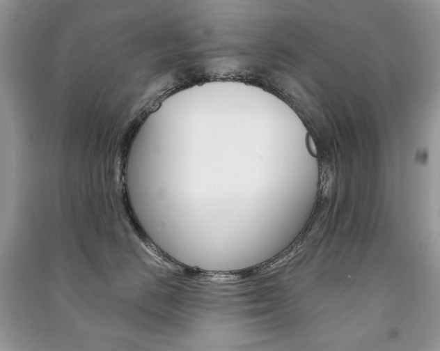 X0000091180670200708091047