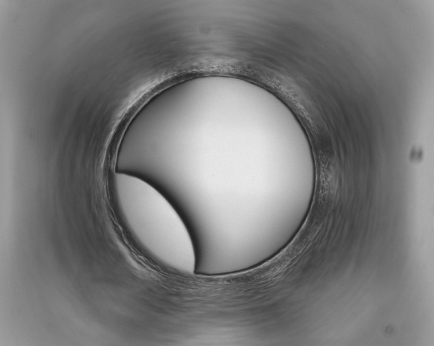 X0000091180674200708091046