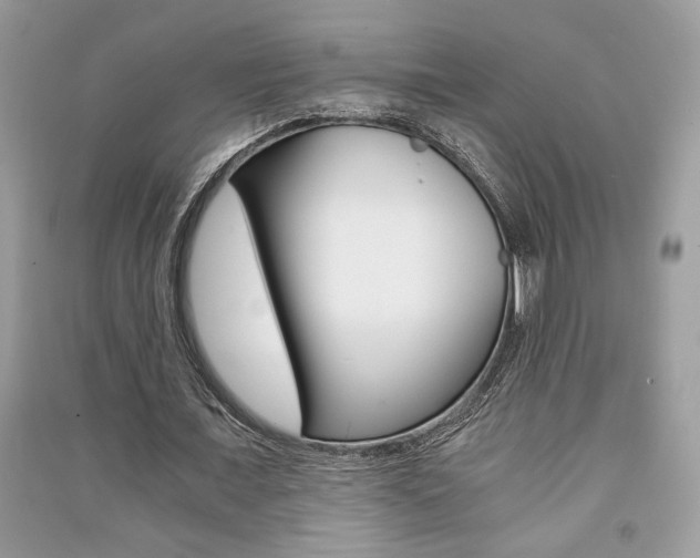X0000091180675200708091046