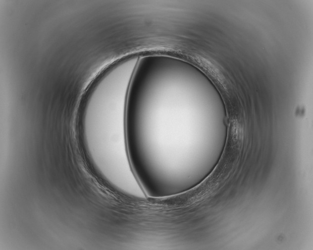 X0000091180676200708091046