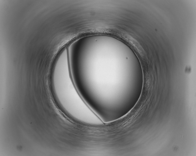 X0000091180677200708091046