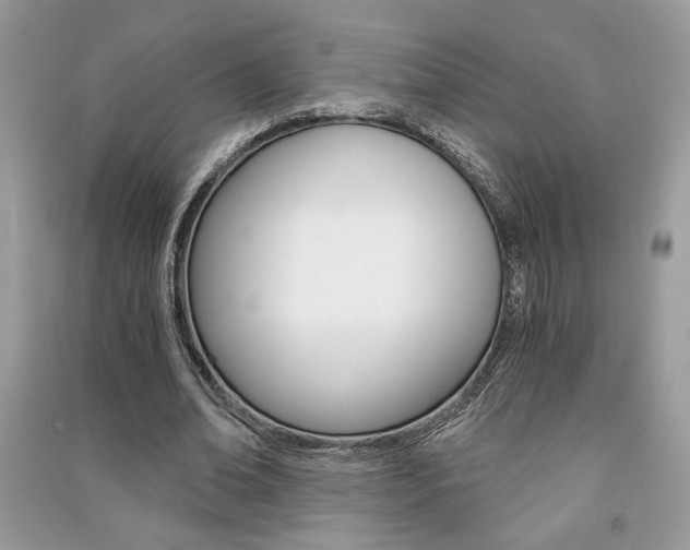 X0000091180678200708091046