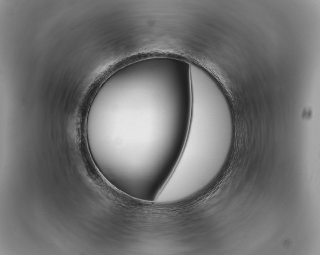 X0000091180680200708091046