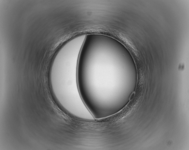 X0000091180681200708091046