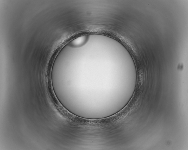 X0000091180682200708091046
