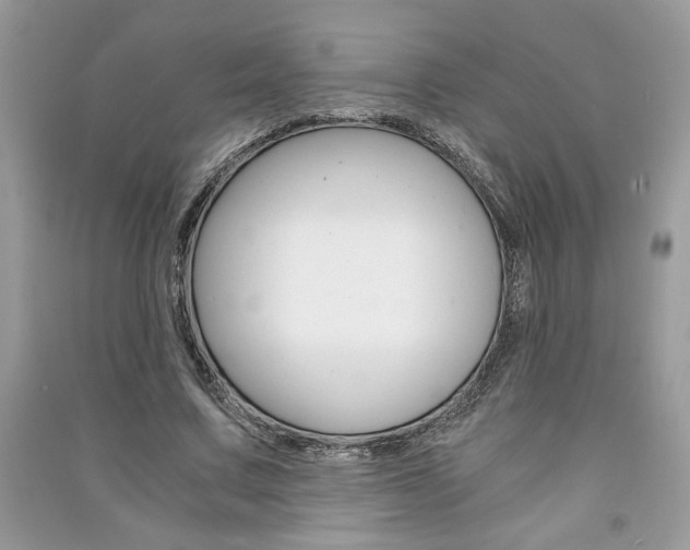 X0000091180683200708091046