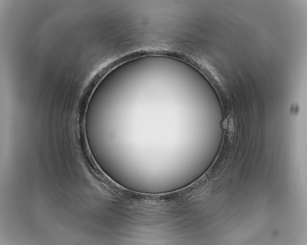 X0000091180684200708091046
