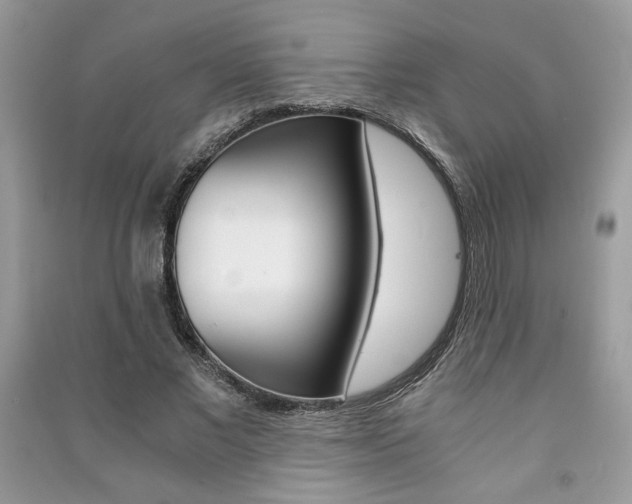 X0000091180685200708091046