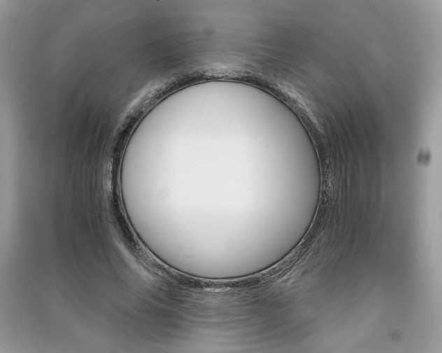 X0000091180686200708091046