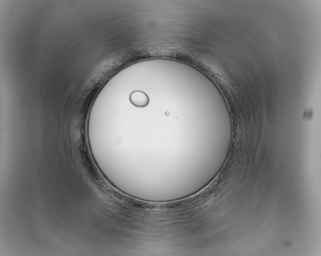 X0000091180687200708091046