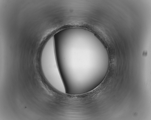 X0000091180688200708091046