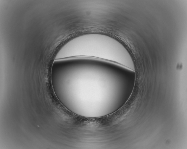 X0000091180689200708091046