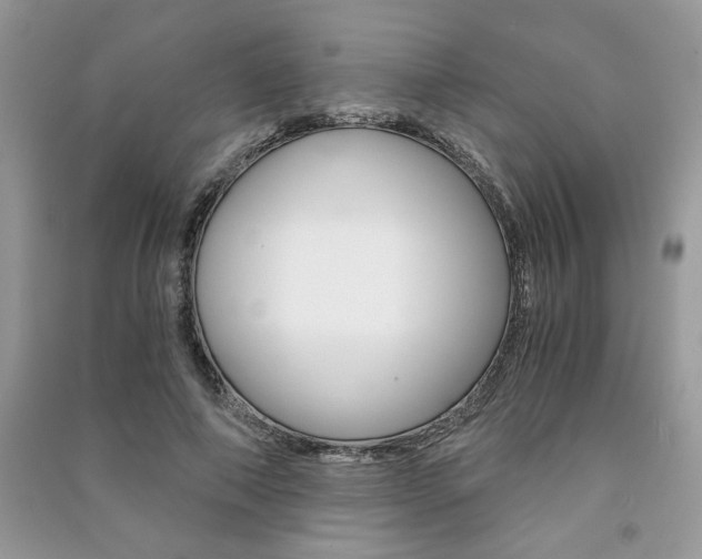 X0000091180690200708091046