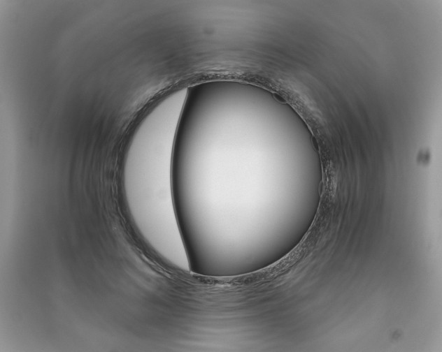 X0000091180692200708091046