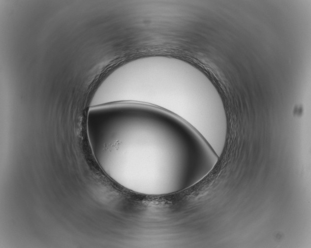 X0000091180693200708091046