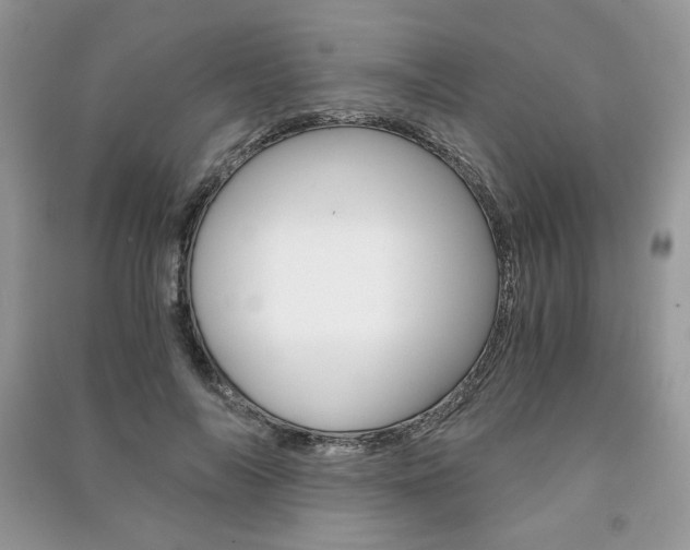 X0000091180694200708091046