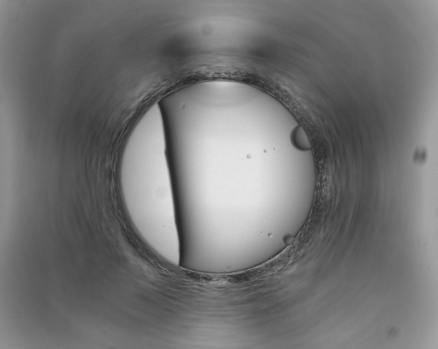 X0000091180695200708091046