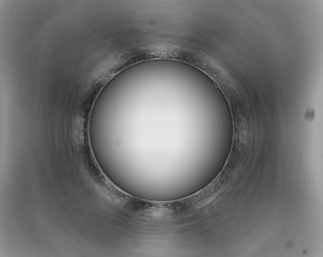 X0000091180696200708091046