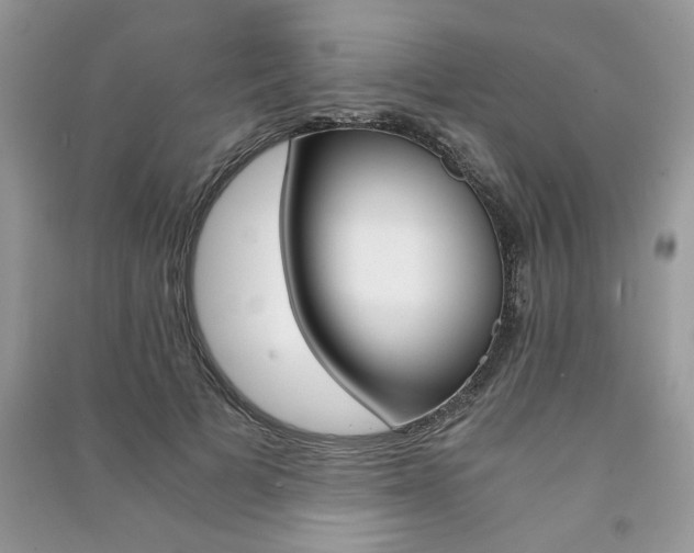 X0000091180697200708091046