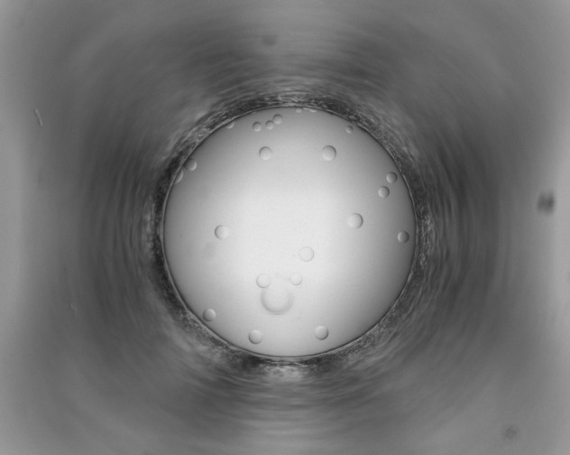 X0000091180698200708091046