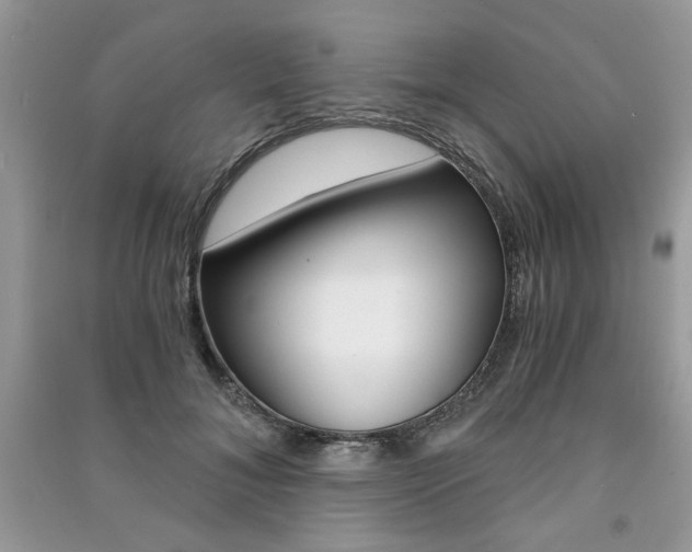 X0000091180700200708091046