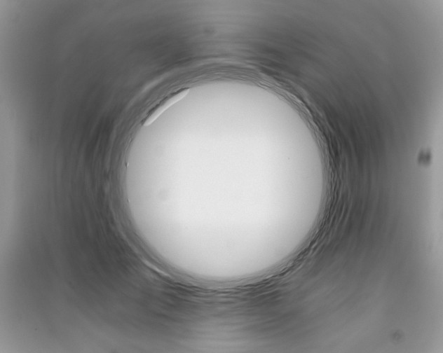 X0000091180701200708091046