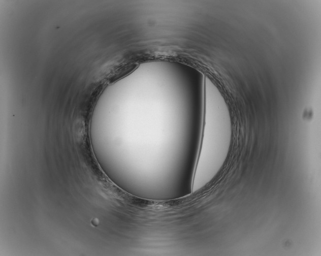 X0000091180704200708091046