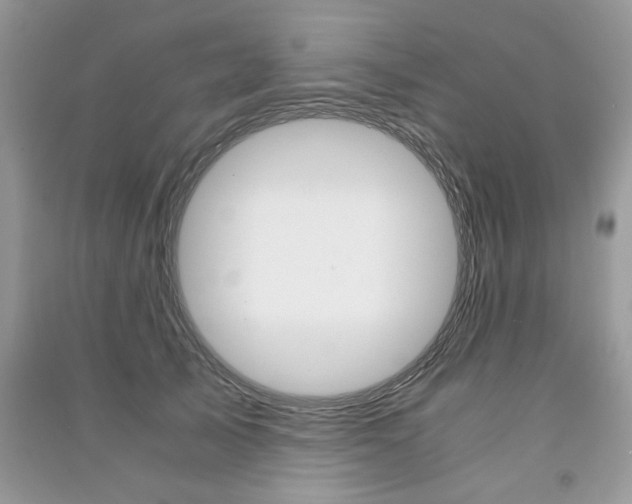 X0000091180705200708091046