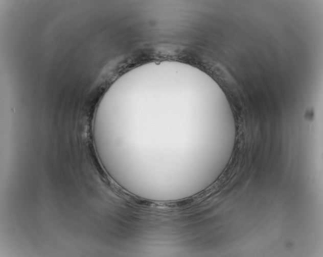 X0000091180706200708091046