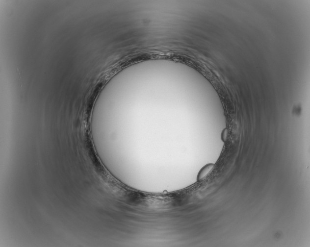 X0000091180707200708091046