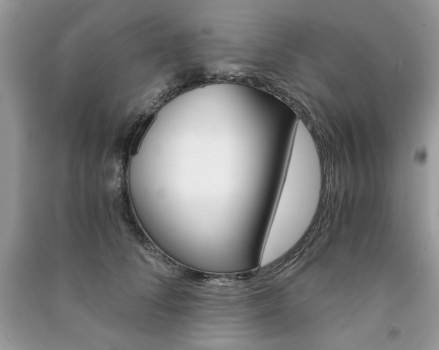X0000091180708200708091046