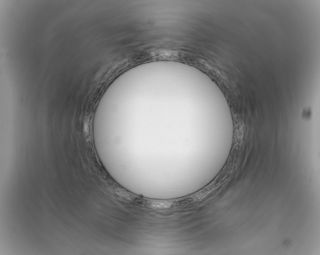 X0000091180709200708091046